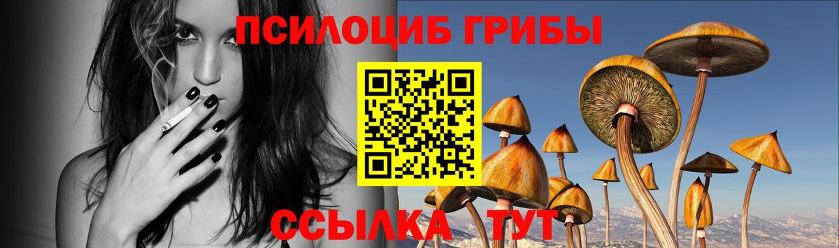 Псилоцибиновые грибы мицелий Долгопрудный